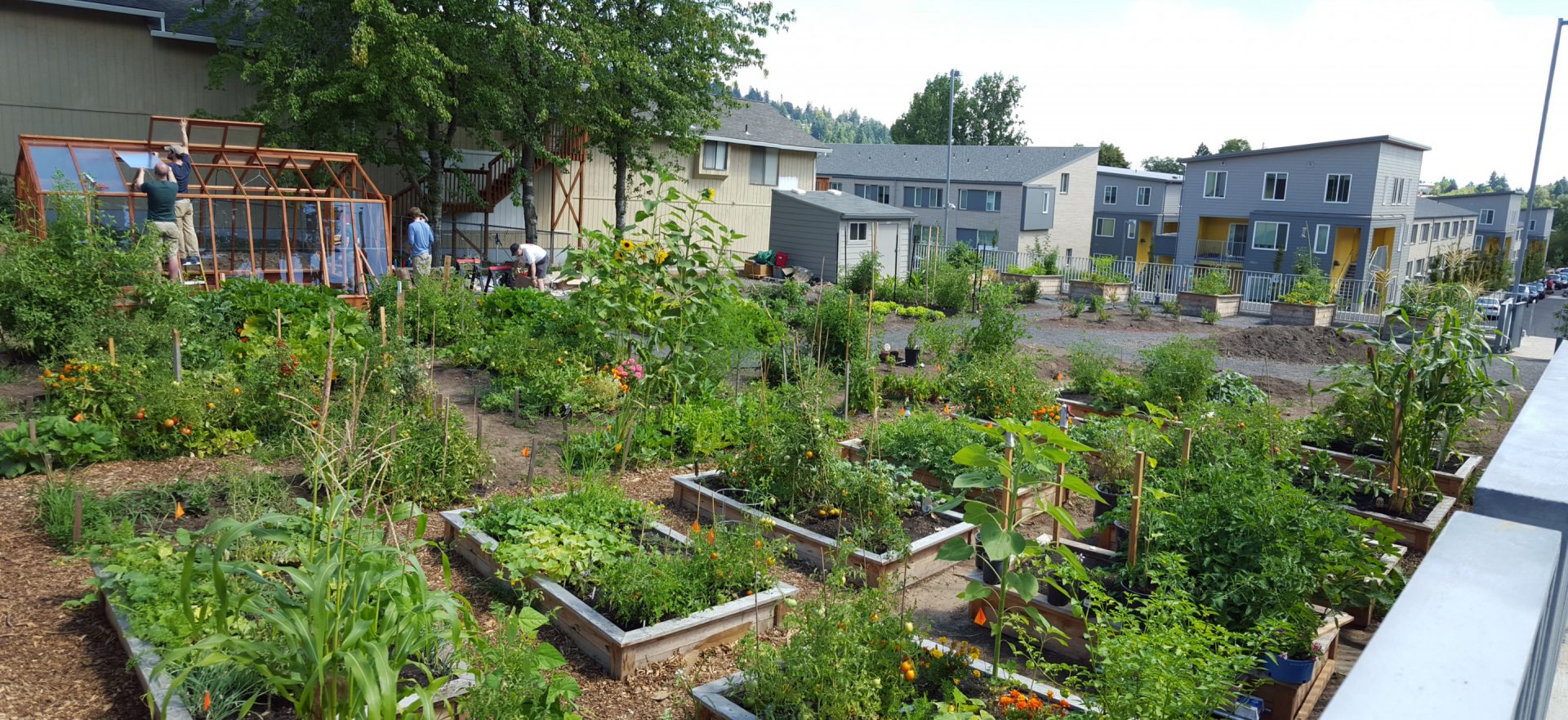 Community Garden