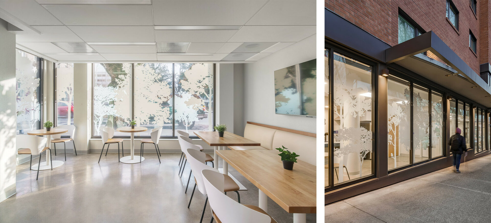 Two photos side by side. The left shows a light filled community room. Graphic decals of leafy trees add interesting shade patterns in the room. The right photo shows the same graphics from the exterior of the building.